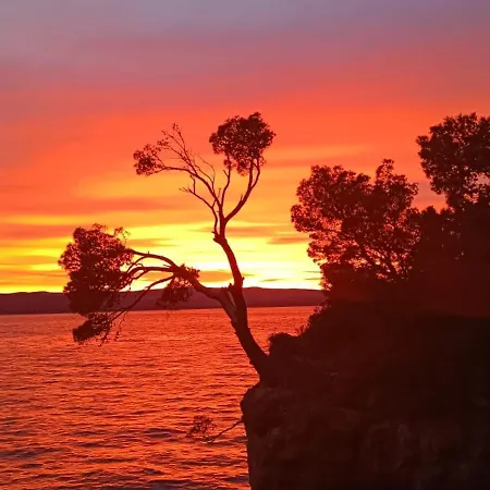 Olga's Sunshine Place Brela