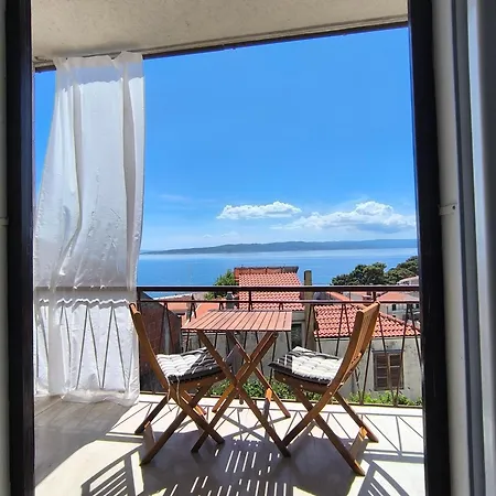 Olga's Sunshine Place